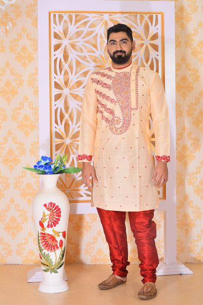 Raw Silk Punjabi Set (adi77275)