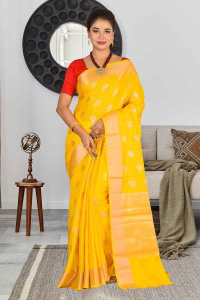 Tissue Silk Saree (adi84578)