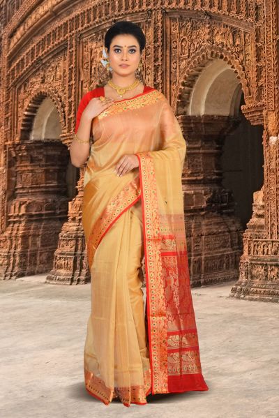 Paithani Silk Saree (adi84816)