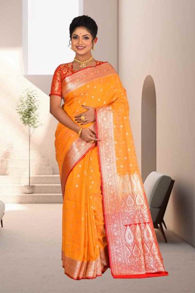 Pashmina Benarasi Silk Saree (adi85238)