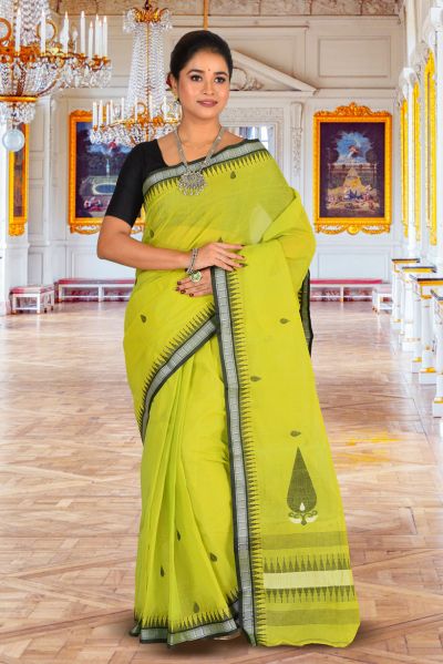 Tant Saree (adi85966)