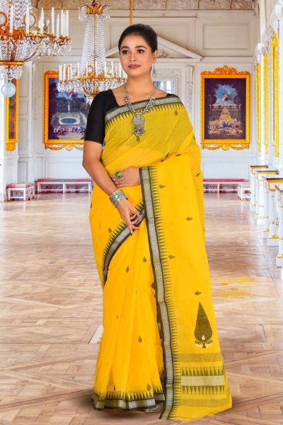 Tant Saree (adi85972)