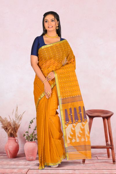 Tant Saree (adi86440)