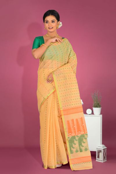 Tant Saree (adi86469)