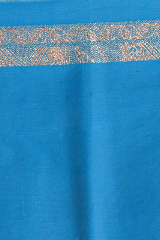 Pashmina Benarasi Silk Saree (adi90450) hover